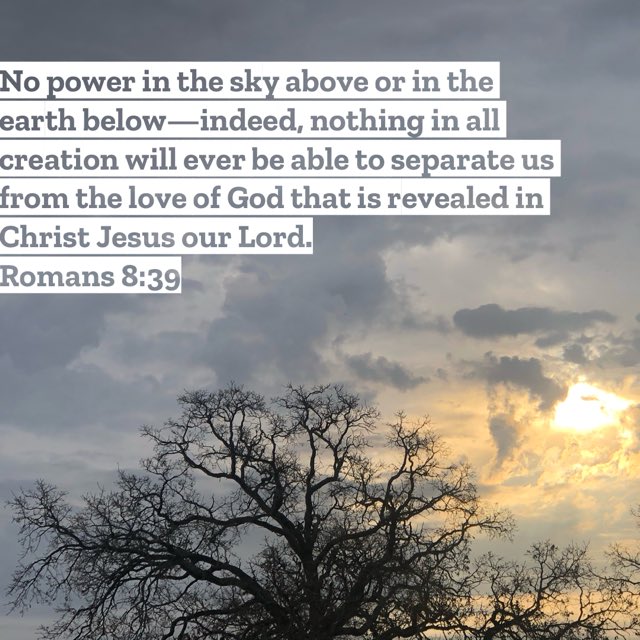 Bryan Packard (@bpfbrc) on Twitter photo 