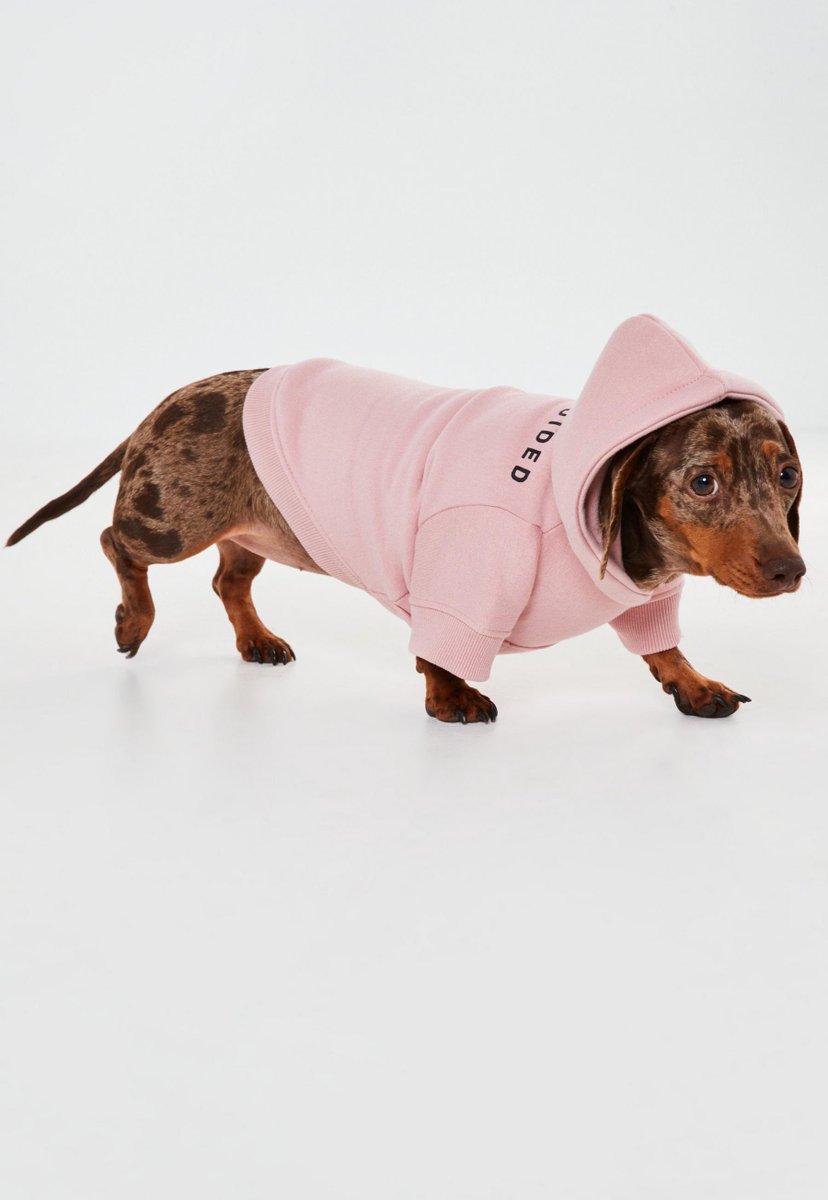 Happy #LoveYourPetDay 🐶💘Wanna win one of our dog jumpers + brighten up everyones timeline with cute petpics? 🐾🏆Here's how:

1. Like this tweet
2. Reply to this thread with a pic of your pooch + why you love them

✨Winner announced on Friday✨