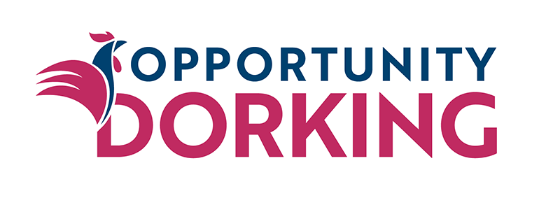 #dorking exciting projects for Dorking 👉molevalley.gov.uk/index.cfm?arti… sign up here for updates mailchi.mp/c44a91f7214a/o… @HelloDorking @DorkingFriends @DorkingBBG #realisingpotential #cultural #commercial #community