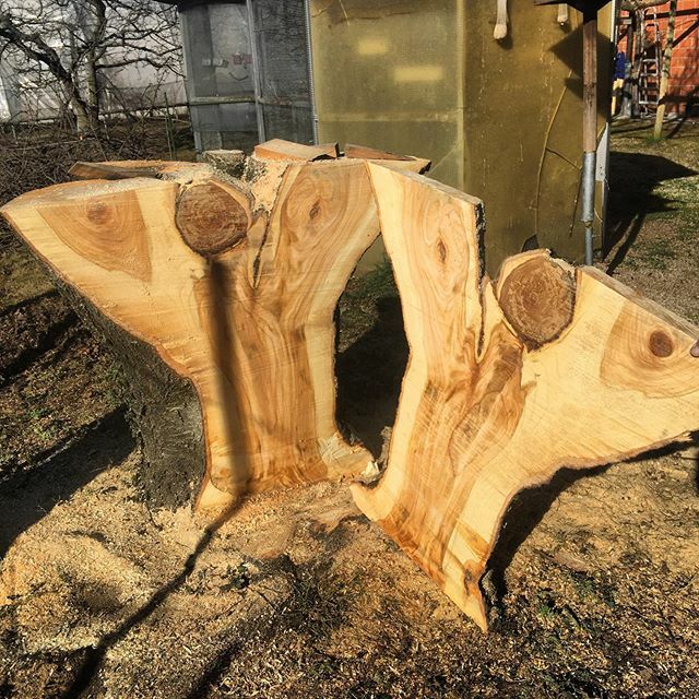borattpetrolo's tweet photo. #LegnoArt #wood  #legnochepassione #legnodesign #segantinoambulante #logosol https://t.co/miSOmMOaat https://t.co/BiX6BJNgOz