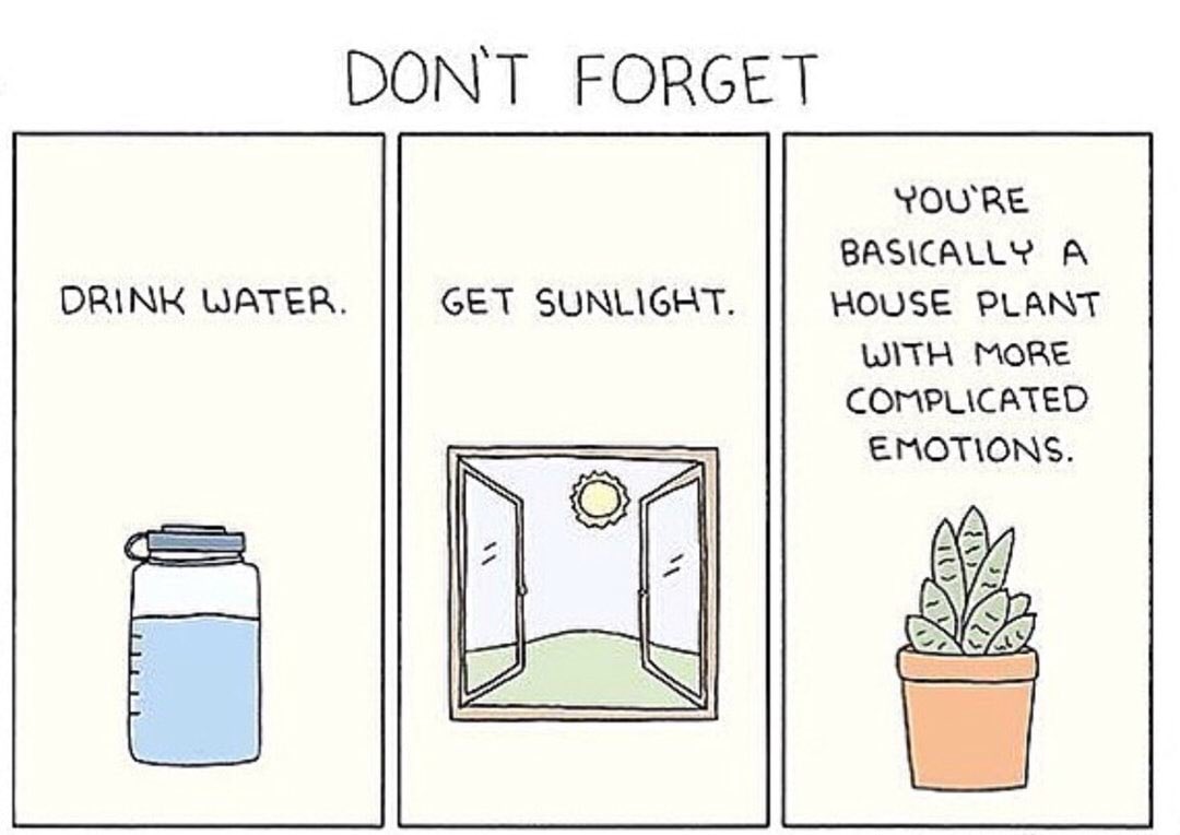 NewmansGC's tweet photo. Pretty accurate....
#bekindtoyourself https://t.co/gIYHS7T7mD