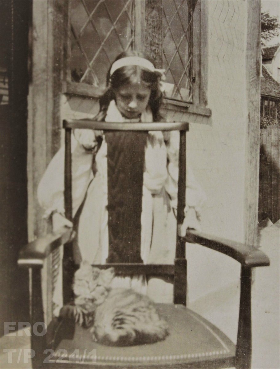 essexarchive's tweet photo. #LoveYourPetDay part two consists of these lovely #cat photos to show that there isn’t any favouritism! They are from a collection of photographs taken at Paycockes in Coggeshall, which was the home of the Noel family between 1904 and 1910. #FurryFelines https://t.co/VHrSjs9vfH