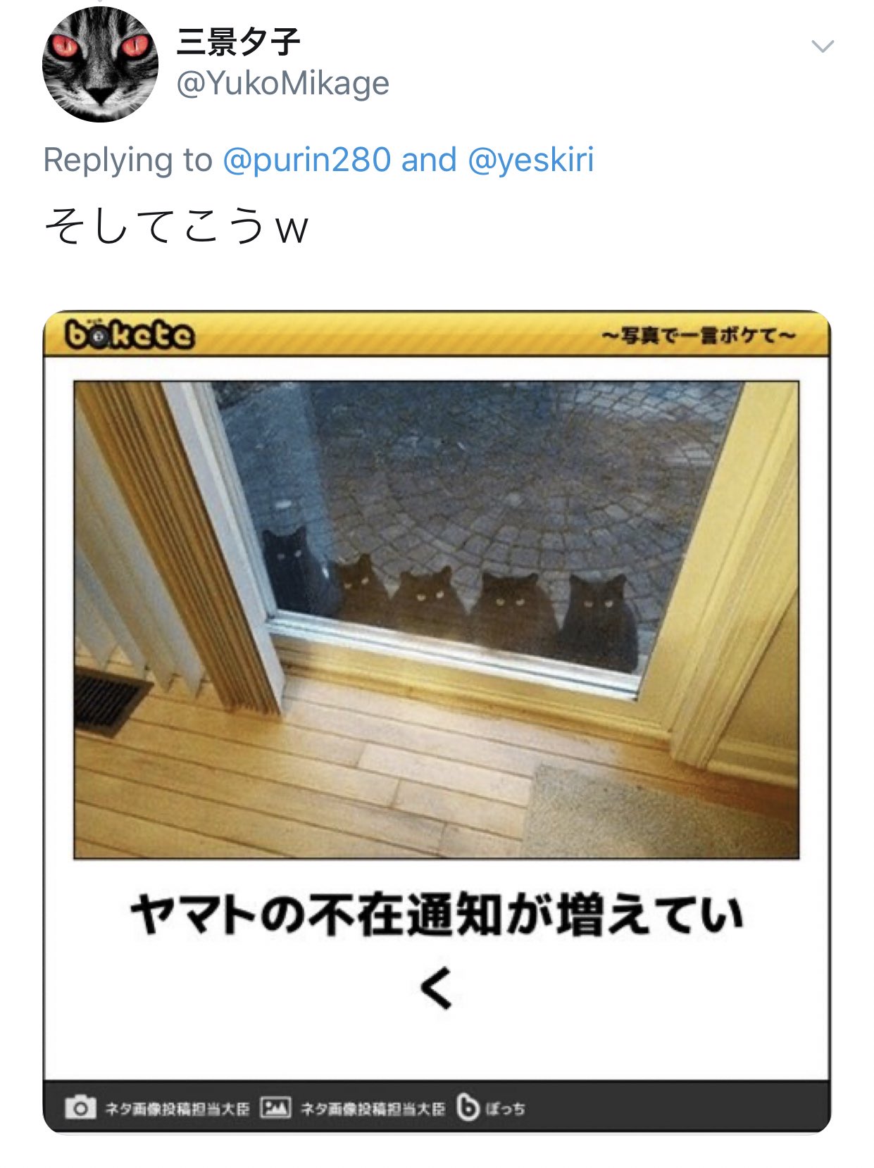 ワロタww クスッと笑ってしまう面白動画集 Iyashivideo5 Twitter