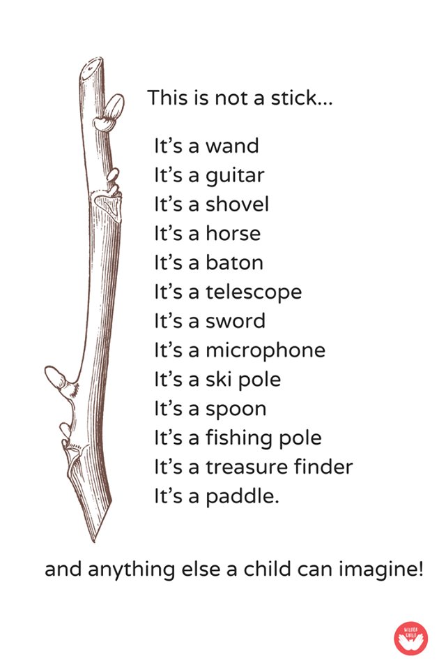 Modern Homeschooling tweet media