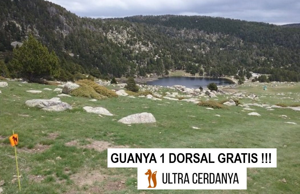 esportistesCAT's tweet photo. ATENCIÓ NOU SORTEIG !!!

Guanya 1 dorsal gratis per ULTRA CERDANYA 2020

1.- Fes RT, segueix-nos i seguiu a @ultracerdanya  
2.- Etiqueta algun amic que li agradi córrer!!!

Teniu fins el proper 26 de febrer per participar!

SORT!! https://t.co/gLvSp2peMY