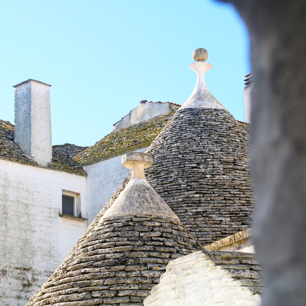 LeAlcove's tweet photo. La bellezza di una giornata di sole, a febbraio, è ancora più intensa al mattino, quando risplende sui coni dei nostri trulli e si posa sui nostri visi accarezzandoli delicatamente.

#LeAlcove #LeAlcoveExperience #Puglia

👉 https://t.co/zYUsDg8qYc 👈 https://t.co/0jcQ6rKIqx