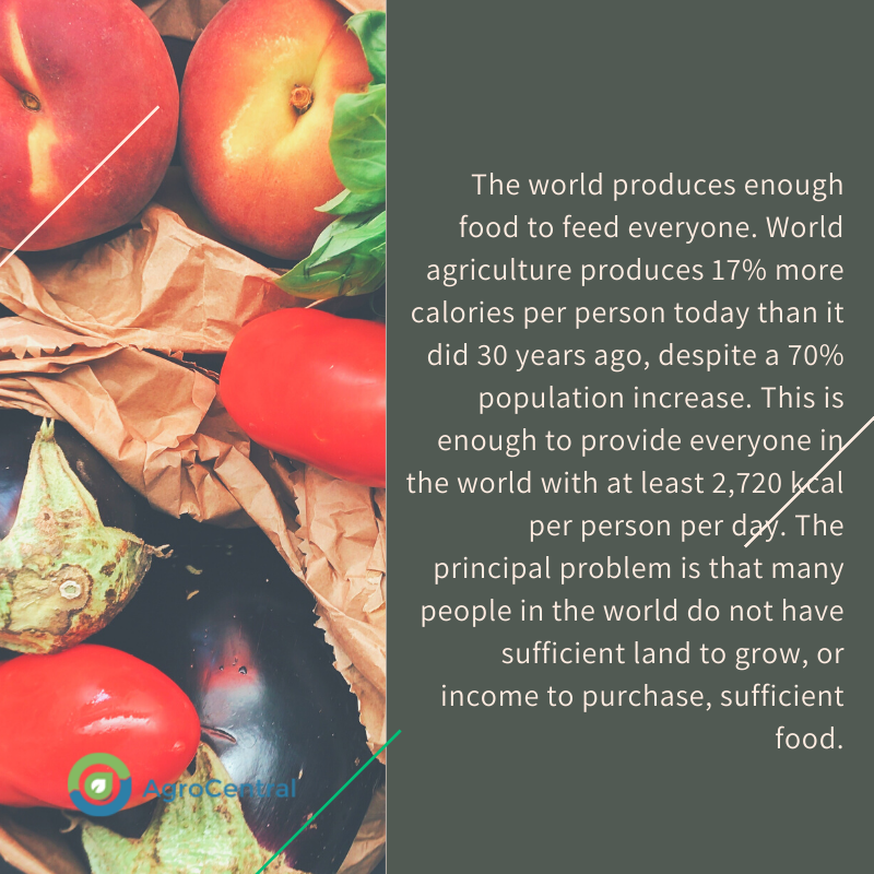 The world produces enough food to feed everyone. World agriculture produces 17% more calories per person today than it did 30 years ago, despite a 70% population increase. This is enough to provide everyone in the world with at least 2,720 kcal per person per day.