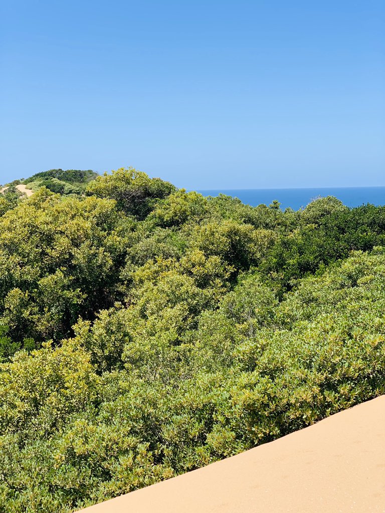 PtyUniq's tweet image. The beginning of a world class infrastructure, introducing the Chongoane Development Corridor Project (CDC). The main purpose of the project is to unlock economic opportunities in all Sub-Saharan Countries - watch the space. #UniqHoldings #CDCProject #MozambiqueProspers