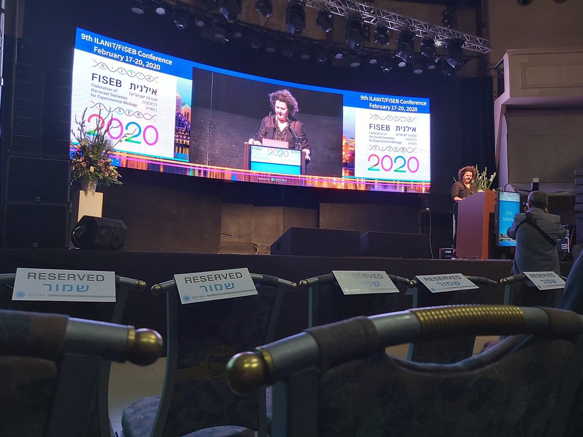 DaninoYehuda's tweet photo. The last lecture but of course not least, prof. Erin Schuman told us about the discovery of local translation in neurons followed by Pizza and beer. There is no better way to finish this big conference @fiseb #ILANIT2020.
Great people- great science! https://t.co/6iPb09hONZ