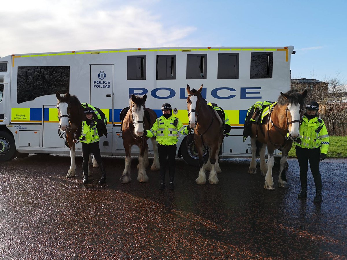 If Mounted Units did police horses....
Team Clydesdale on Glasgow Green this morning, left to right, Harris, Emily, Casey and Lauder. 
#teamclydesdale #wearefamily