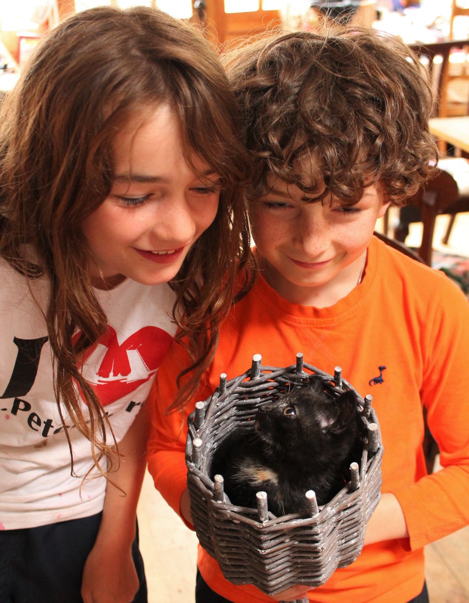 Fingask Castle tweet media