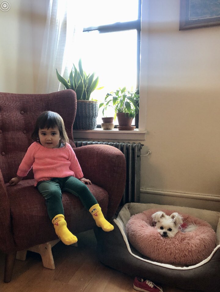 melostrom's tweet image. Did you need some sweetness this morning? Here’s a double dose, courtesy of my brother. Busy day today, appointments, work, chores. But I’m setting aside a few minutes to send Elizabeth Warren more money. I hope you will, too. #moneywellspent #fundhope #supportchange 💙