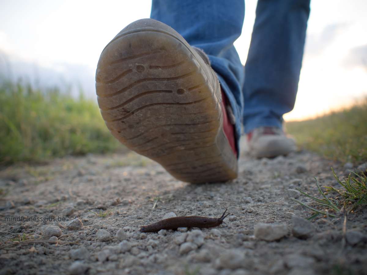 wandelen is een lagedrempel meditatie. Lees hier waarom. #mindfulness #gezondheid@meditatie #wandelen #innerlijkeruimte #innerspace #metalegezondheid