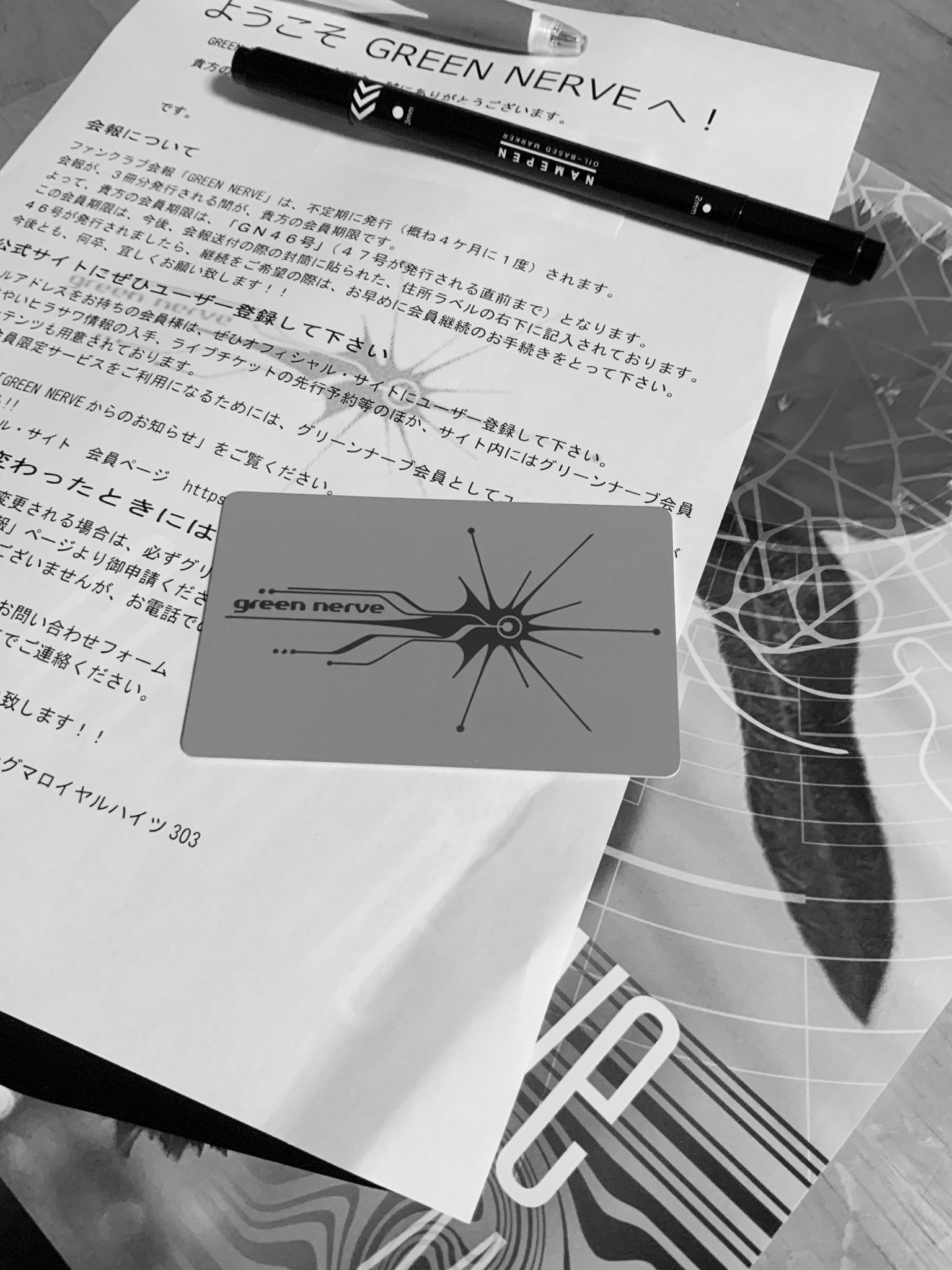 GREEN NERVE 公式ファンクラブ会報 Vol.4 平沢進