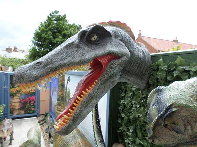lifesizemodels's tweet photo. Whosaid our models are just for theme parks and attractions?! 
Check out Clive's collection! It has really grown over the years! 
#dino #dinosaurs #collection #lifesizemodels #jurassic #velociraptor #trex #model #jollyroger #theme #garden #decor https://t.co/F65WMvVHMN
