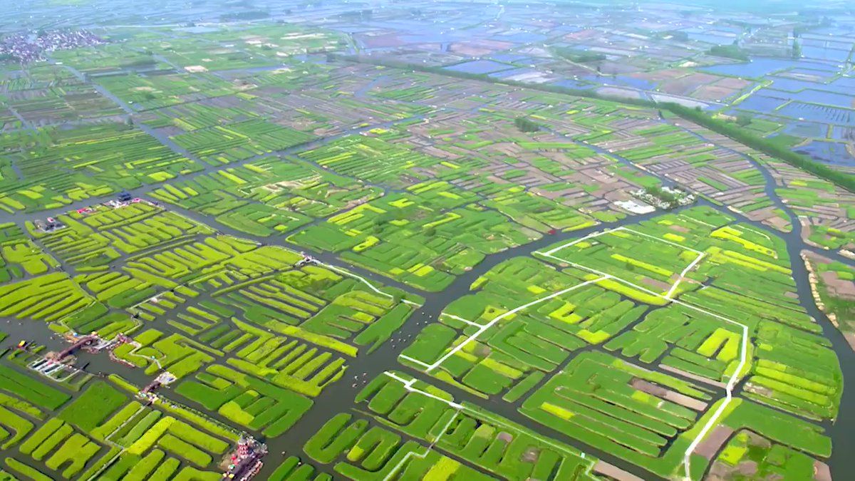 TrailsChina's tweet photo. Astonishing aerial video of the #Xinghua Fields in #Jiangsu, China. Video from @XinhuaTravel #Travel #TrailsChina #China https://t.co/NQEp2xtMbm https://t.co/kT4eFFDoqP
