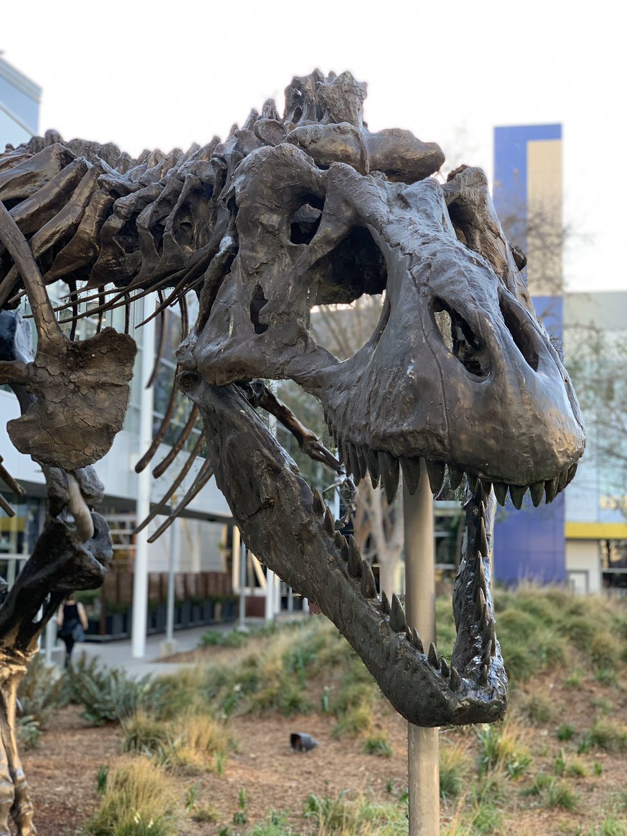 methode's tweet photo. Fun fact: serving 429/503 http status codes will slow down crawling, yes, but if you serve them for a longer period of time, they will remove the pages served with said codes from the index. https://t.co/p4Wf6YD6SX