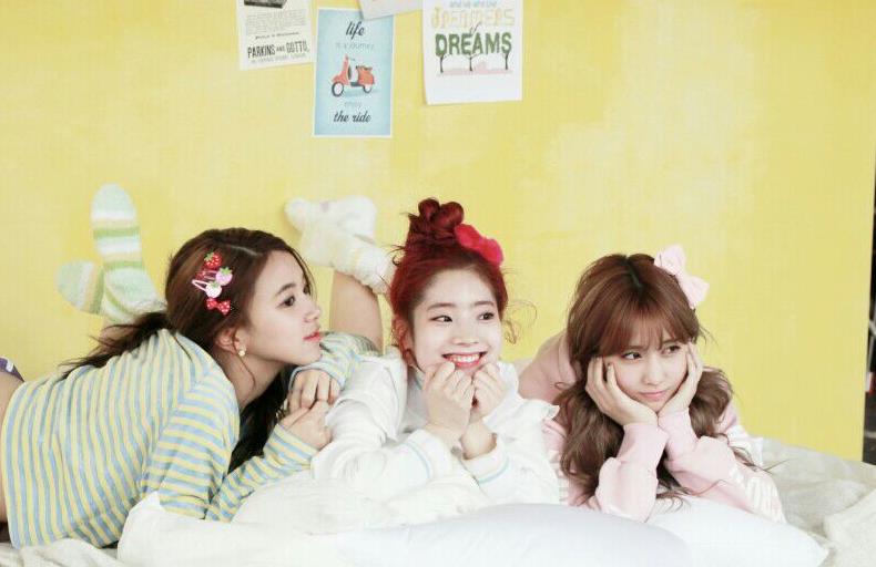 Rocio The Feels Twice Knock Knock Jacket Behind 3yearswithknockknock Happyknockknockday
