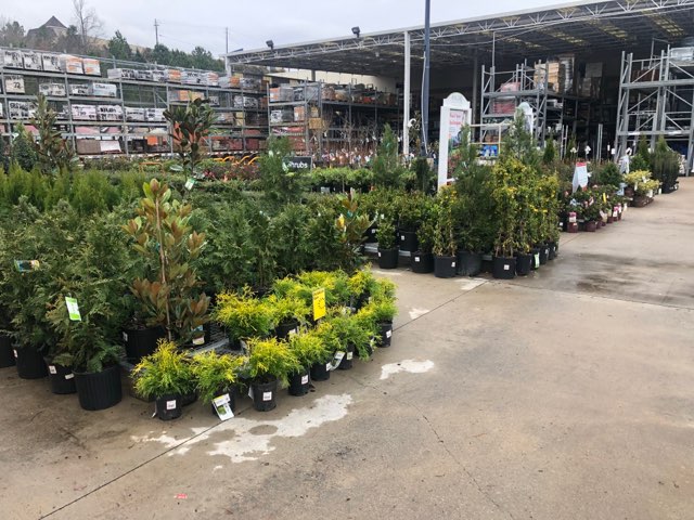 Retail Garden Mngmt tweet media
