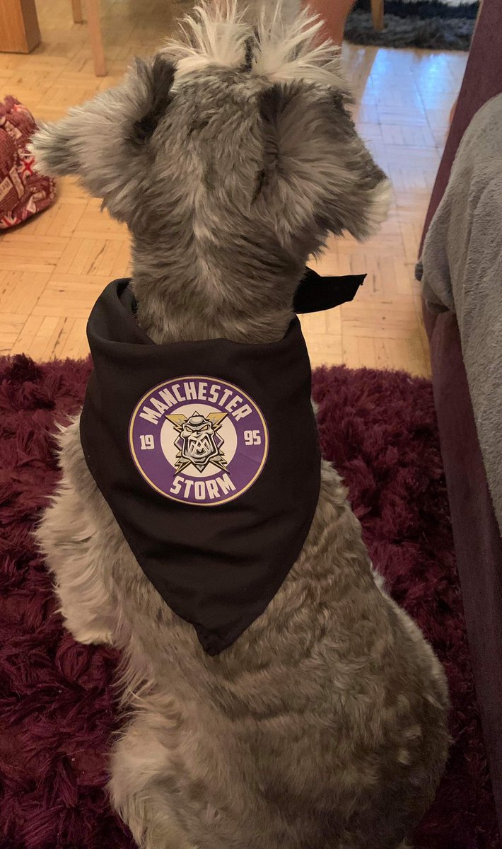 Manchester Storm | #TakeShelter tweet media