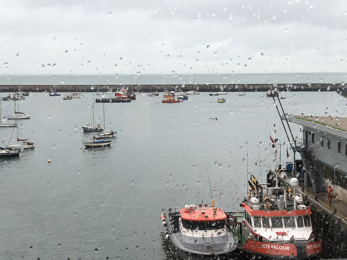 Fishstock Brixham tweet media