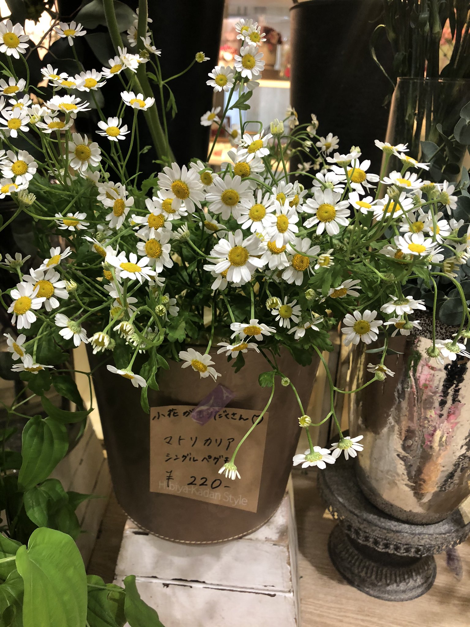 Tomohiro Nishitani 今日のイイハナは マトリカリア カモミールに近い属らしく 小さな花がたくさん咲いています イイハナ ハナノヒ 日比谷花壇 マトリカリア 花 Flowers Flower T Co R8wviazeso Twitter
