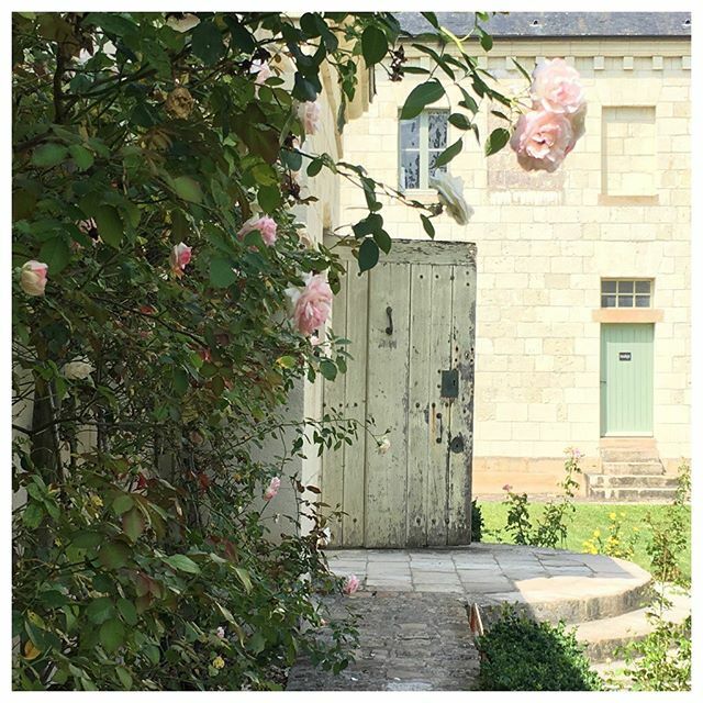 If I click the heels of my gold loafers three times, will it take me back to sunny summer days en France? 🤷🏻‍♀️ Don’t mind my shivers while I daydream on this dreary Charlotte day! 💦❄️💦 ift.tt/2SIsUXU