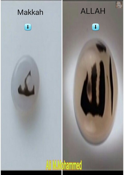 علي م. الجنابي tweet media