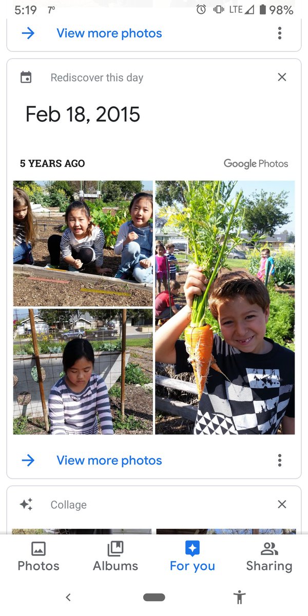 AndrosGarden's tweet photo. #GooglePhotos memories showing me, a different set of students, same passion ππΏππ©βπΎ Learning how to respect our ecosystem, and how to grow foodπ§‘π₯π§‘#schoolgarden #nativehabitat #nextgenerationsciencestandards #projectbasedlearning https://t.co/DR0qAk4sy4