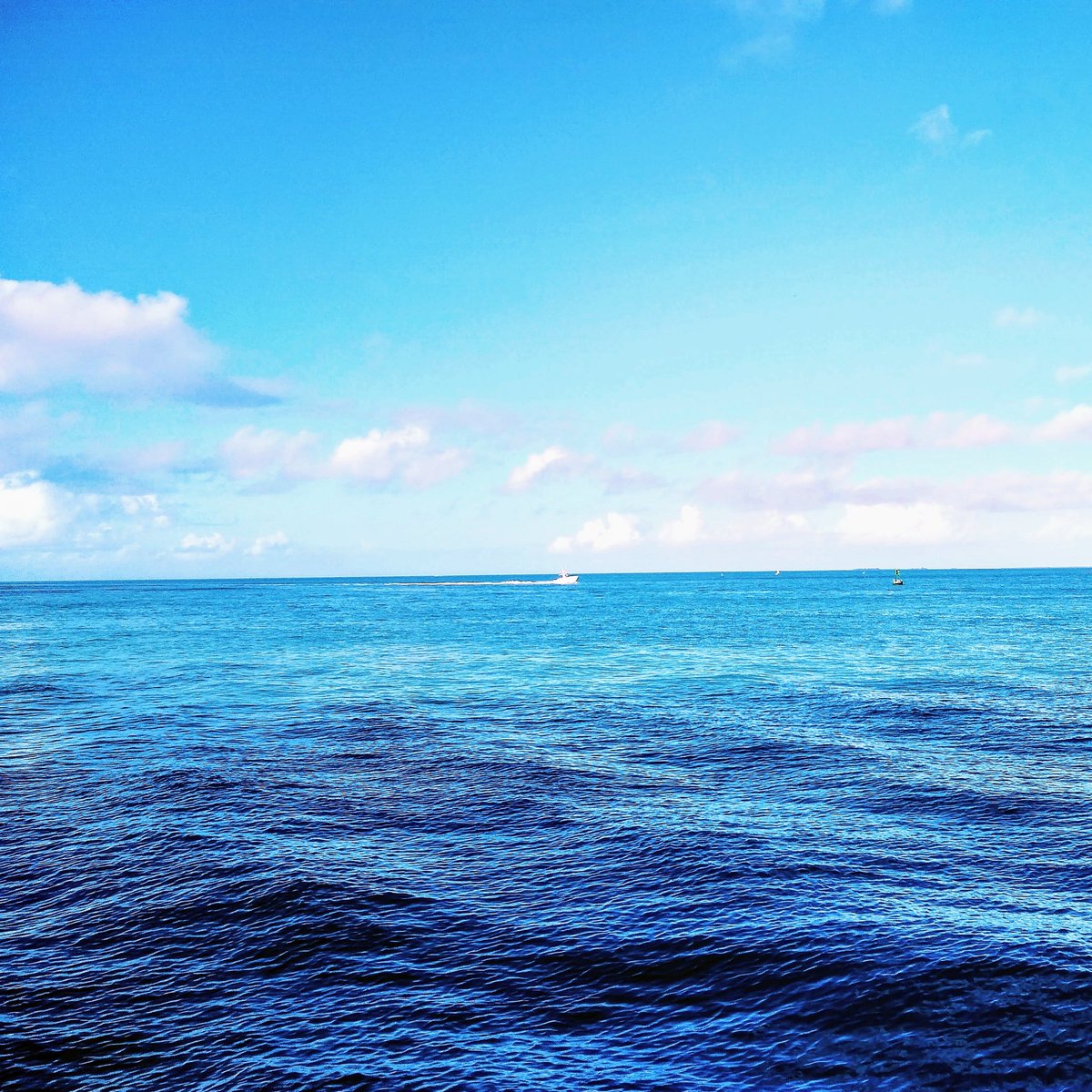 sherilkw's tweet photo. Another gorgeous day in #KeyWest &amp; #FLKeys https://t.co/46Uzd4ypM5