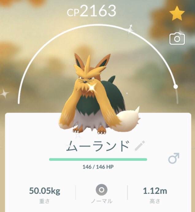 ムーランド色違い Twitter Search Twitter