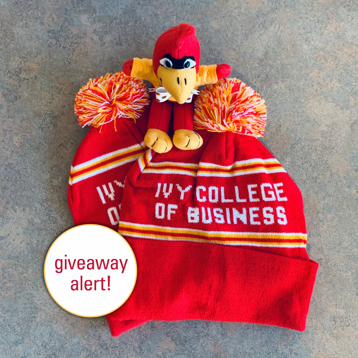 IvyIowaState's tweet photo. Ready for a giveaway? Here's how to enter to win an Ivy stocking hat:

👉 Follow us
👉 Like &amp; retweet this post

Winner announced Friday (2/21)! #ThursdayMotivation https://t.co/6tSOY1oFpc