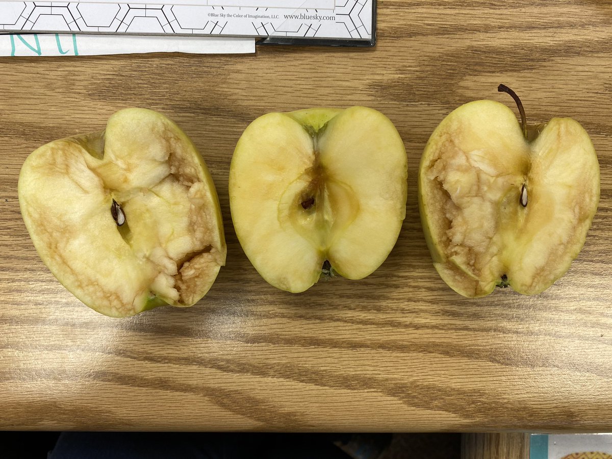 Today we used apples to discover how our words make our friends feel on the inside! The apple we were kind to is in the middle. The apple we shared unkind words with is on the outside. @vacdeswps