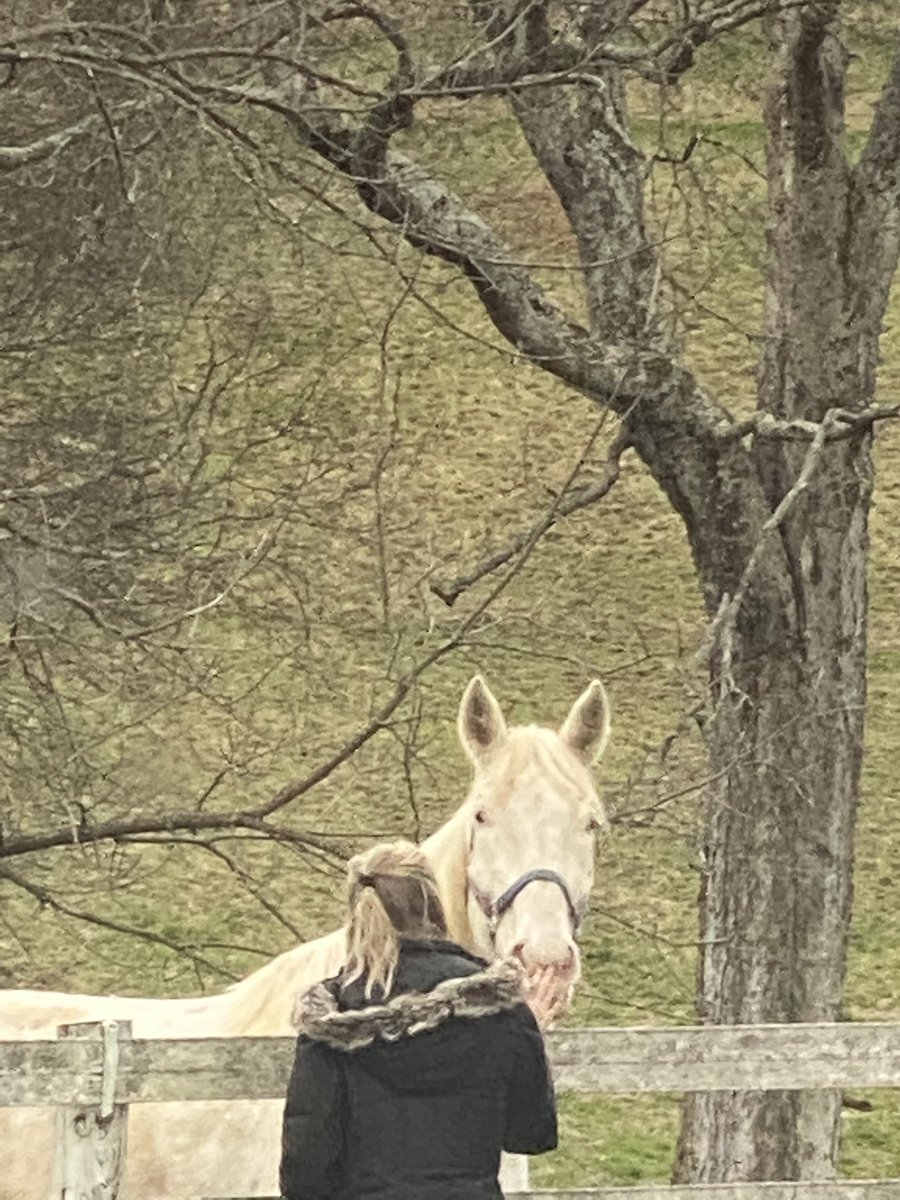 luckboy1's tweet image. If you’ve never visited Ellington Ag Center &amp;amp; The TN Dept of Ag, you’re missing out.