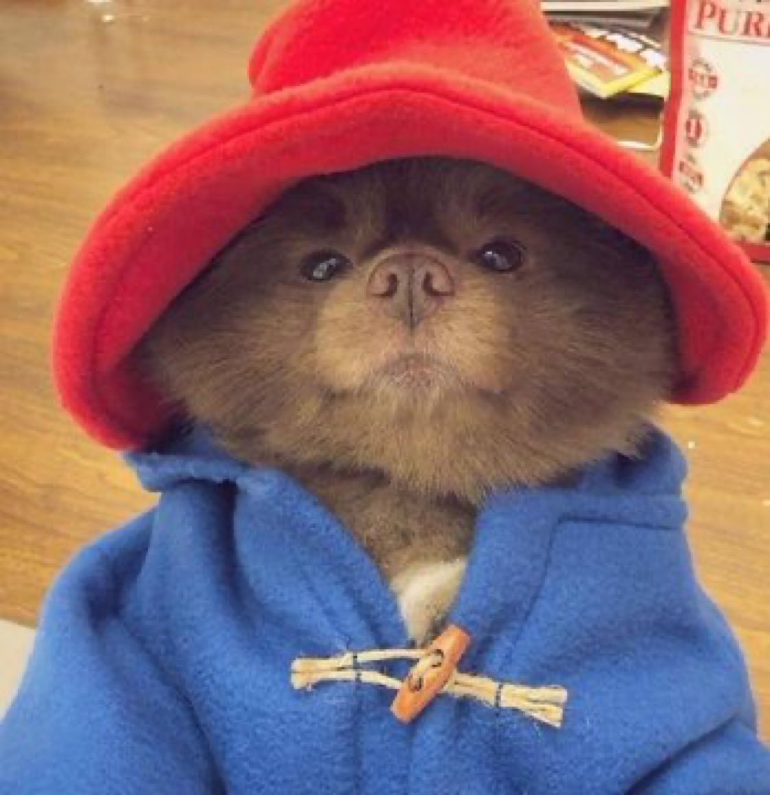 Me at the Weatherall tribute gig