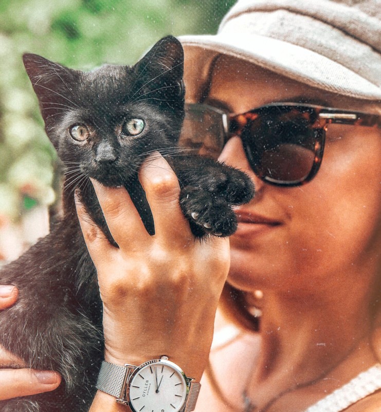 my_waggles's tweet photo. It's #NationalLoveYourPetDay! Emma surely loves her little black kitten. 😽🤗😻

#waggles #wagglespets #cat #smack #meow #kitten #blackcat #catmom #kitty #babycat #catlover #catmoms #catlovers #crazycat #cats #loveyourpet #petlover https://t.co/UdvUpHC90f