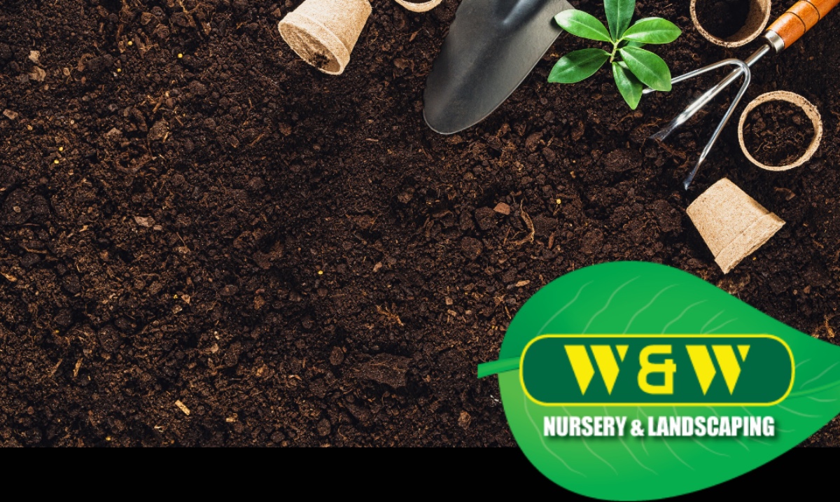 Let's hope this weather starts warming up so we can put on our gardening gloves and get to work and begin planning your spring landscaping projects. We can help! wwnursery.com/index.cfm?Page…
“Let’s grow green together!”  #planting #Spring #Ready #wwnursery #apalachinny #binghamtonny