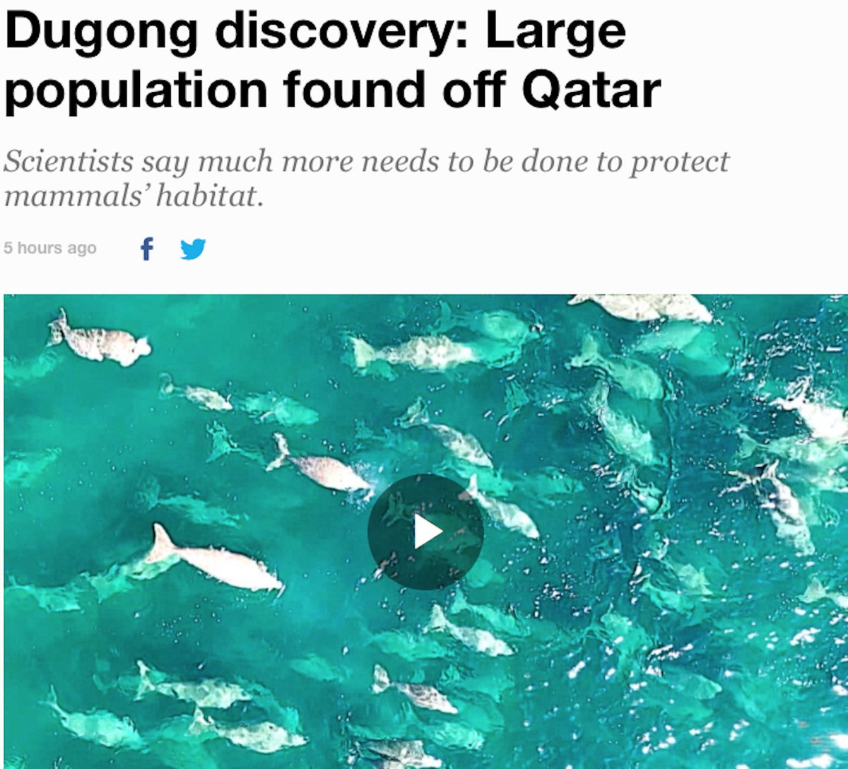 Christopher Marshall tweet media