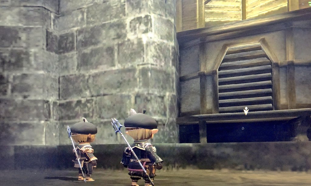 Kateroze かて 金の髪飾りが無い これはどうしたものか Ff11 Sirenにて