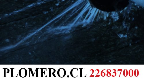 plomerochile's tweet photo. https://t.co/Srtnhu8nfx