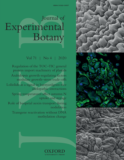 JXBot's tweet photo. New Issue Online
Browse ToC: https://t.co/4gDqr5COzl 
#Plastid protein import
GRFs modulate growth–stress trade-offs
Loliolide &amp; #allelopathic interactions
#Auxin transport during #nodulation
Chronic, sublethal Cd toxicity ... https://t.co/GQ31Oy7O1q
