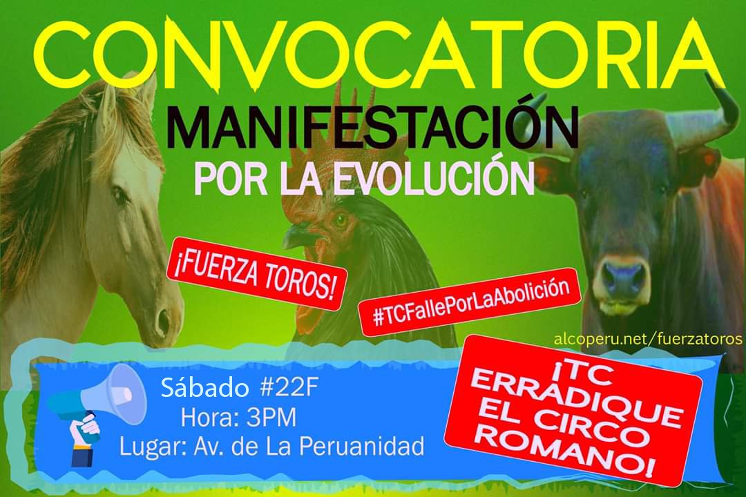 ALCOPERU's tweet photo. ¡CONVOCATORIA! ¡ÚNETE!
Manifestación por la EVOLUCIÓN.
Sábado 22 de febrero 2020, 3PM.
Lugar: Av. de la Peruanidad, Jesús Maria, Lima.
Demanda de inconstitucionalidad por la ABOLICIÓN https://t.co/0nBmXSbFQ4
#DemandaPorLaAboliciónFUERZATOROS #TCFallePorLaAbolición
#FUERZATOROS https://t.co/8EbaislQjm