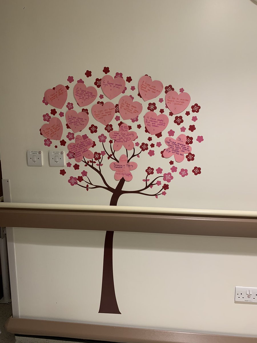 Our beautiful dignity tree, take a moment to have a read when you visit our ward.