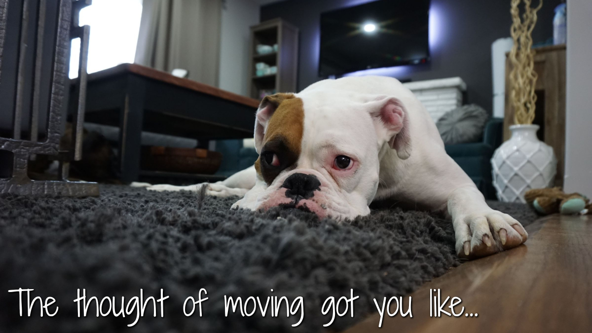 Highland Moving tweet media