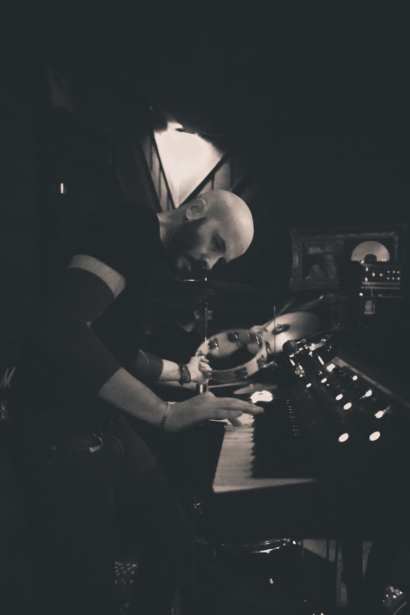 Hound The Wolves tweet media