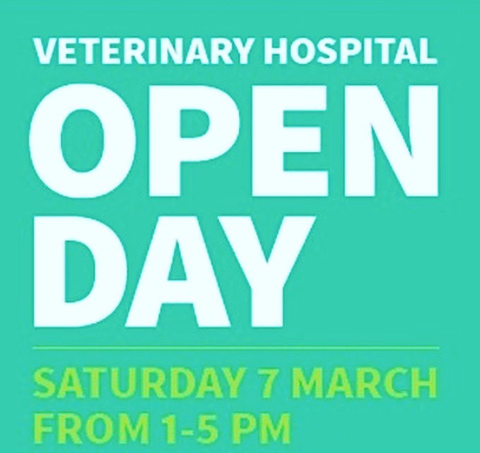 NiVetSpecialist's tweet photo. Want a behind the scenes look at a specialist referral hospital? Pop on over on Saturday 7th March to see the hospital, meet the team and get involved in the excitement! Stay tuned for more announcements #NIVS #nivetspecialists #openday #behindthescene https://t.co/IiyOucWXdh