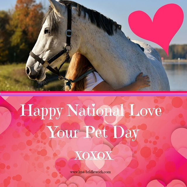 chat_stable's tweet photo. Today is national Love Your Pet Day! To celebrate our fur babies get sharing your best pet photos with us! Our top picks will be published on our website! https://t.co/TnwJ8gRDjx 
#LoveYourPetDay #AnimalCrossingDirect #ThursdayThoughts #ThursdayMotivation #FilmsFarmersWouldMake https://t.co/ZO1RBdAIdf