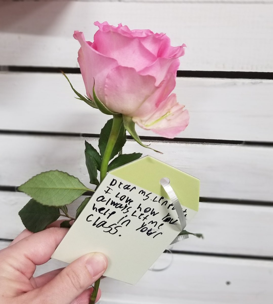 LMLkinders's tweet photo. It's #kindnessweek here at @CFISDEmmott. Today is #ThankfulThursday and we are showing appreciation by writing thank you notes to special people in our lives. A pink rose and a thank you note?! How did I get so lucky! Thank you, Catherine!! https://t.co/YxCt5CKF3F