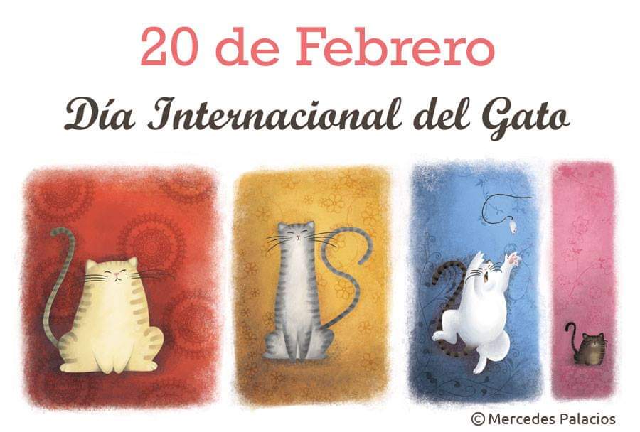 CosasdeGatosweb's tweet photo. Feliz #DiaInternacionalDelGato miauuuu 🐱 https://t.co/CvSTWoD1hm
