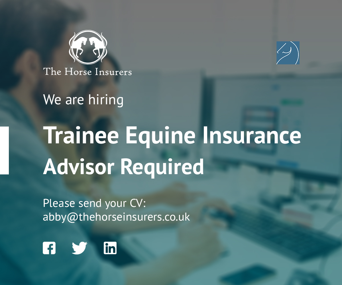 Trainee Equine Insurance Advisor Required.
The Horse Insurers are looking for a dynamic individual to join our growing team in Deal.
Please note, this is a full time position.
To apply, send a copy of your CV to abby@thehorseinsurers.co.uk #Deal
#Horse #Insurers #Recruiting #Job